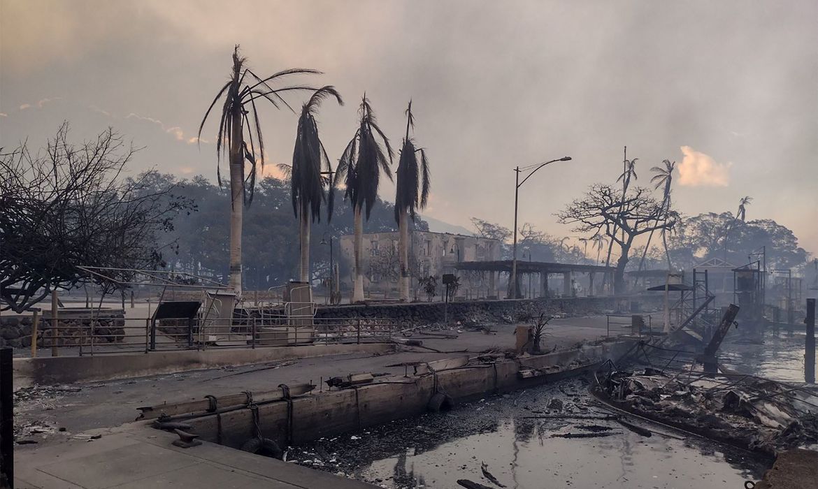 Número de mortos em incêndios florestais no Havaí ultrapassa 80