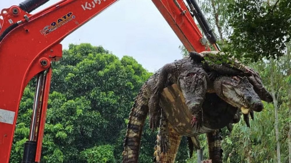 Guardiões tailandeses matam mais de cem crocodilos depois que tufão destrói abrigo