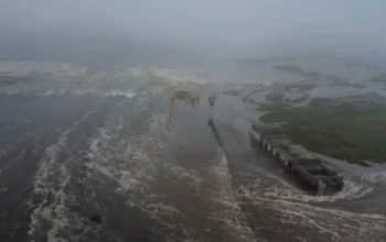 Tsunami